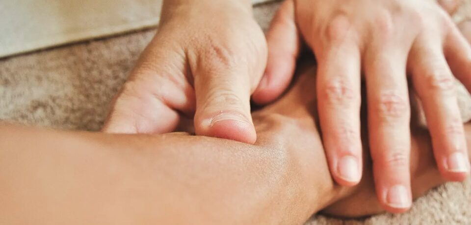 450343322_1149001366383052_4306979934622082292_n