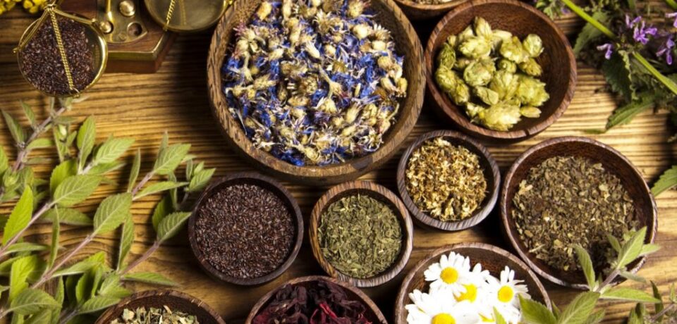 votanotherapeia-1024x1024