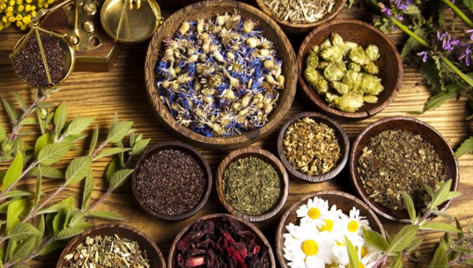 votanotherapeia-1024x1024